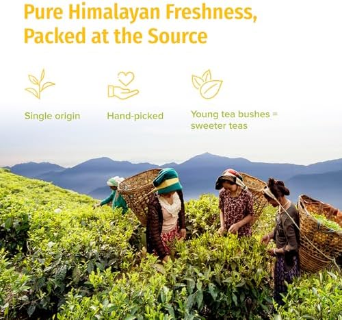 NEPAL TEA Organic White Tea Loose Leaf - USDA Certified Organic from a Family Farm in the Himalayas - Award-Winning Premium Tea Leaves to Enjoy Hot or Cold – 3.5oz /100g (White Prakash)