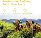 NEPAL TEA Organic White Tea Loose Leaf - USDA Certified Organic from a Family Farm in the Himalayas - Award-Winning Premium Tea Leaves to Enjoy Hot or Cold – 3.5oz /100g (White Prakash)