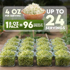 Nature Jim's Organic Broccoli Sprouting Seeds – Non-GMO, Rich in Sulforaphane, Fast-Growing Microgreen Seeds for Indoor/Outdoor Planting– Ideal Organic Sprouting Seed for Nutritious Gardening - 8oz
