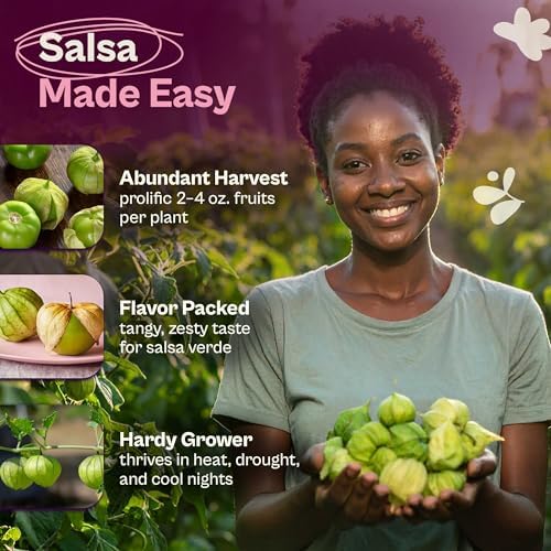 SVI 100 Toma Verde Tomatillo Seeds for Planting (Physalis ixocarpa) – Mexican Tomatillo Salsa Verde Favorite, Prolific 2–4oz Tomatillos – Heirloom Vegetable Seeds for Outdoor & Indoor Garden