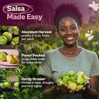 SVI 100 Toma Verde Tomatillo Seeds for Planting (Physalis ixocarpa) – Mexican Tomatillo Salsa Verde Favorite, Prolific 2–4oz Tomatillos – Heirloom Vegetable Seeds for Outdoor & Indoor Garden