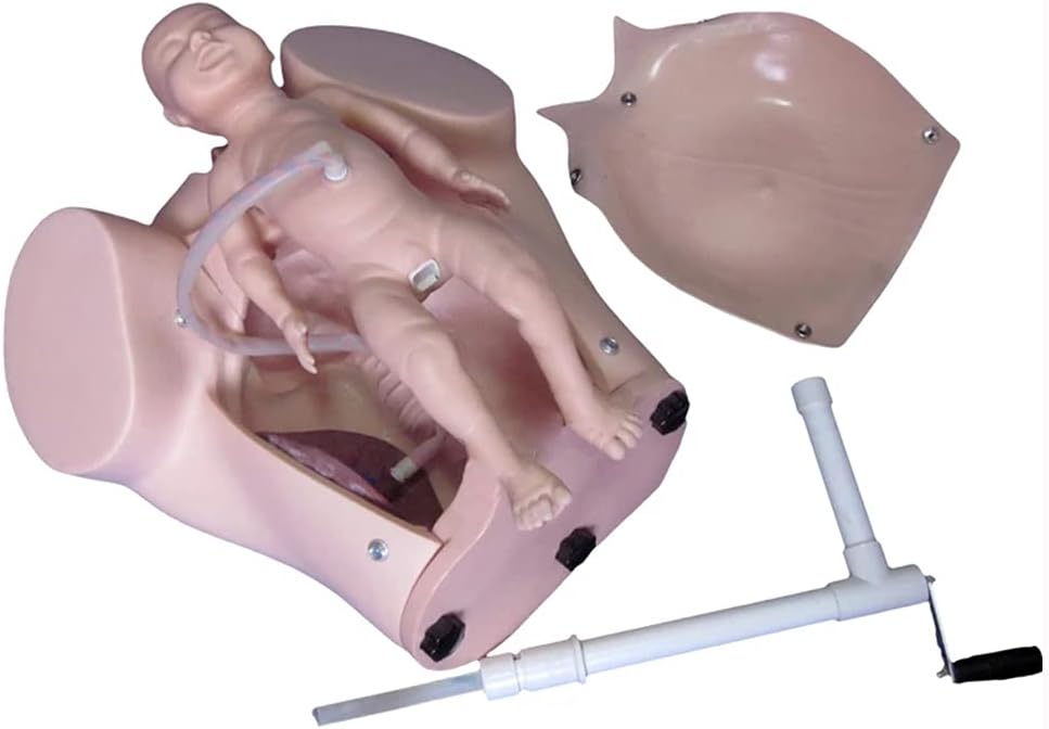 Teaching Tools,Advanced Midwifery Training Model, Female Pelvis Childbirth Model, Childbirth Simulator for Gynecology Teaching Medical Fertility Education and Study