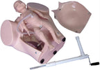Teaching Tools,Advanced Midwifery Training Model, Female Pelvis Childbirth Model, Childbirth Simulator for Gynecology Teaching Medical Fertility Education and Study