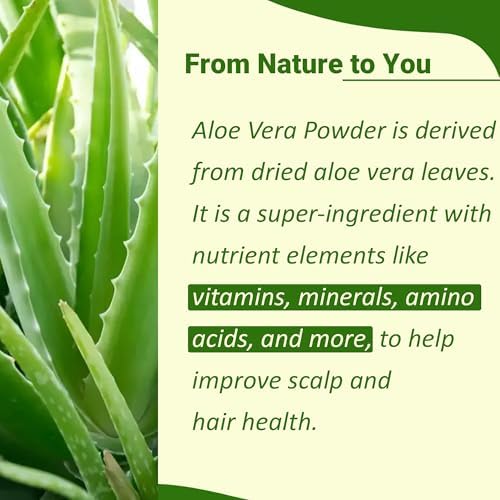 minature 100% Aloevera Powder (Aloe Barbadenis) 100g (3.5 oz)| Pure Aloe Vera Leaf Powder | DIY for Skin, Health & Hair
