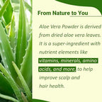 minature 100% Aloevera Powder (Aloe Barbadenis) 100g (3.5 oz)| Pure Aloe Vera Leaf Powder | DIY for Skin, Health & Hair
