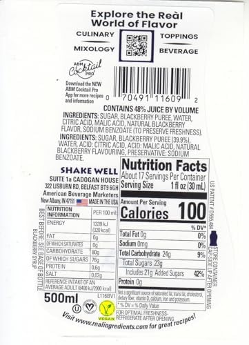 BLACKBERRY REÀL, Blackberry Puree Infused Syrup, 16.9 FL OZ Squeezable Bottle (Pack of 1)