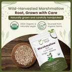 Organic Way Marshmallow Root | Herbal Tea (Althaea officinalis) Cut & Sifted - European Wild-Harvest | Organic & Kosher Certified | Non GMO & USDA Certified | Origin - Albania (1/4LBS / 4Oz)
