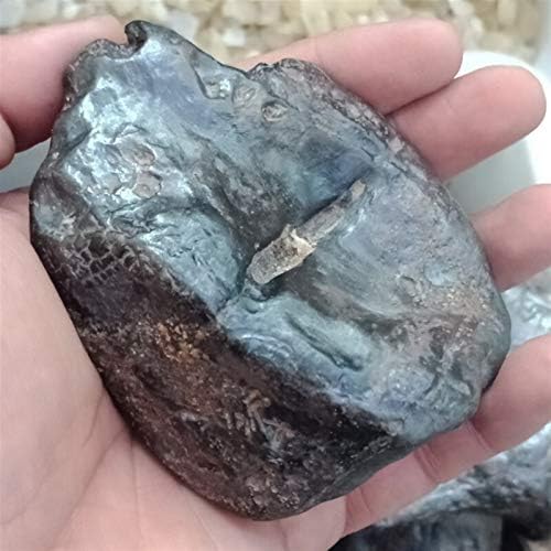 300-1300g natural Iron silicide meteorites Rock raw stones minerals Specimen Collection Meteorite Home decor gift