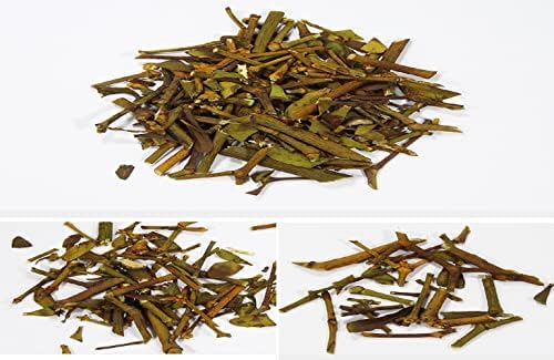 Organic Natural Pure Mistletoe Tea Bag- 50 Tea Bags (Biodegradable PLA Tea Bag Filters)