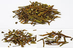Organic Natural Pure Mistletoe Tea Bag- 50 Tea Bags (Biodegradable PLA Tea Bag Filters)