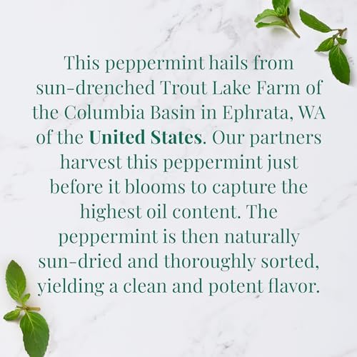 The Republic of Tea — Organic American Peppermint SuperHerb Tea Tin, 36 Herbal Tea Bags, Naturally Caffeine-Free Herbs of Origin