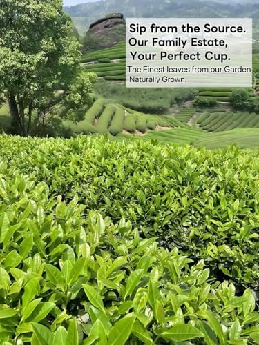 luoptea Da Hong Pao Rock Oolong Tea with Floral Aroma- Handcrafted Premium Oolong Loose Leaf from our Own Family Tea Garden in Wuyi Mountain, China -Handpicked & Charcoal Roasted for Rich（150g）
