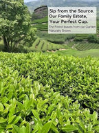 luoptea Da Hong Pao Rock Oolong Tea with Floral Aroma- Handcrafted Premium Oolong Loose Leaf from our Own Family Tea Garden in Wuyi Mountain, China -Handpicked & Charcoal Roasted for Rich（150g）