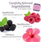 Bigelow Botanicals Cold Water Infusion Blackberry Raspberry Hibiscus Herbal Tea, Caffeine Free Tea with Blackberry and Raspberry Flavor, 18 Count Box (Pack of 6), 108 Total Tea Bags