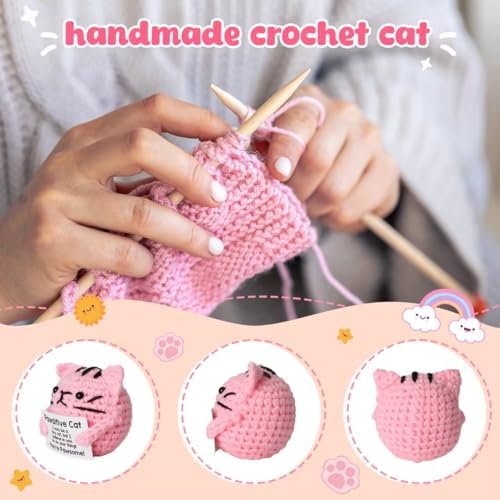 Crochet Cat Gifts for Mothers Day Graduation Nurses Week 2026 Teacher Appreciation Gifts for Kids Teens Girl Boy Birthday Gift for Women Men,Cute Decor Cat Plush Pink