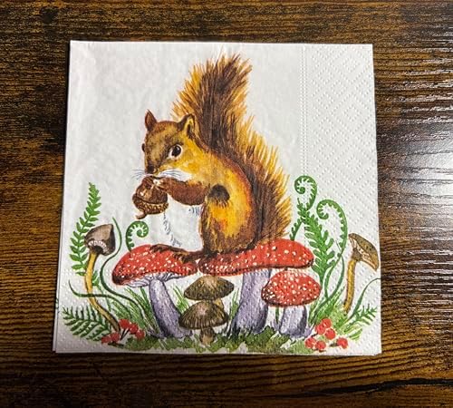 IHR Ideal Home Range Cocktail Napkins Disposable 3-Ply Paper Party Napkin Pack, 5" x 5", Squirrel and Mushrooms, 20-Count