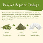 Jarteela - Mugwort Tea Bag, 2g x 50 Count - Pure Mugwort Herb - Natural Herbal Tea Bags for Digestion - Non-GMO - Caffeine-free Tea