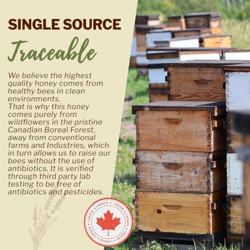 Oneroot 100% Canadian Wildflower Honey - 6.6 lbs, Unheated & Creamed - Nutrient-Rich, Natural Sweetener with Enzymes - Thick & Pure Raw Unfiltered Honey