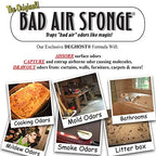 Bad Air Sponge 2lb. Container (3002N), Blue
