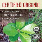 ECOTEAS Premium Organic Yerba Mate Tea Bags – Natural Energy & Detox Herbal Tea – Coffee Alternative - Kosher, Non-GMO, Gluten-Free - 100 Unsmoked Bulk Bags, 8.8 oz (Pack of 1)
