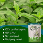 Zhivana Organics Nettle Tea – Nettle Leaf Organic, Nettle Tea Loose Leaf, Stinging Nettles Loose Leaf Organic, Ortiga Verde Organica - Dried Herbs for Medicinal Use - 8oz