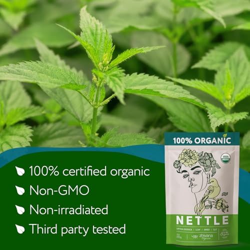 Zhivana Organics Nettle Tea – Nettle Leaf Organic, Nettle Tea Loose Leaf, Stinging Nettles Loose Leaf Organic, Ortiga Verde Organica - Dried Herbs for Medicinal Use - 8oz