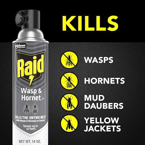 Raid Wasp & Hornet Killer Spray, Bug Killer Kills the Entire Nest, 14 Oz, 2 Count