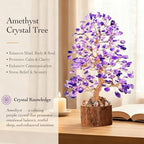Amethyst Crystal Healing Chakra Tree of Life, Sister Women Mom Birthday Gifts Positive Energy & Good Luck, Bonsai Gem Stone Feng Shui Money Tree House Home Office Room Desk Spiritual Decor