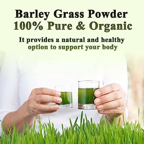 Naveta Barley Grass Powder 100% Pure & Organic, Naveta Pure Organic Barley Grass Juice Powder Japan, 20 Packs/Box (40 Packs)