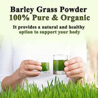 Naveta Barley Grass Powder 100% Pure & Organic, Naveta Pure Organic Barley Grass Juice Powder Japan, 20 Packs/Box (40 Packs)