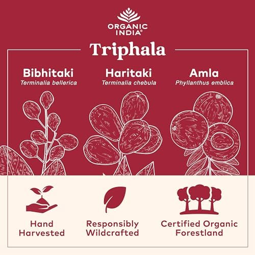 ORGANIC INDIA Triphala Capsules Organic - Herbal Supplement with Amla, Bibhitaki, Haritaki, Digestion & Colon Support, Immune System Support, Adaptogen, Vegan, USDA Certified Organic - 180 Capsules