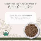 Starwest Botanicals Caraway Seed Organic - Seasoning Spice for Rye Bread, Sauerkraut, Harissa, Pickling, Baking & Cooking, Whole Caraway Seeds, Certified Kosher, Non-GMO - Bulk 1 lb Bag