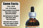 Hawaii Pharm Horehound Alcohol-Free Liquid Extract, Horehound (Marrubium vulgare) Dried Herb Glycerite 2 oz