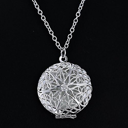 Aromatherapy Essential Oil Diffuser Necklace Diffuser Oil Pendant Locket Aromatherapy Pendant Perfume Oil Jewelry Necklace