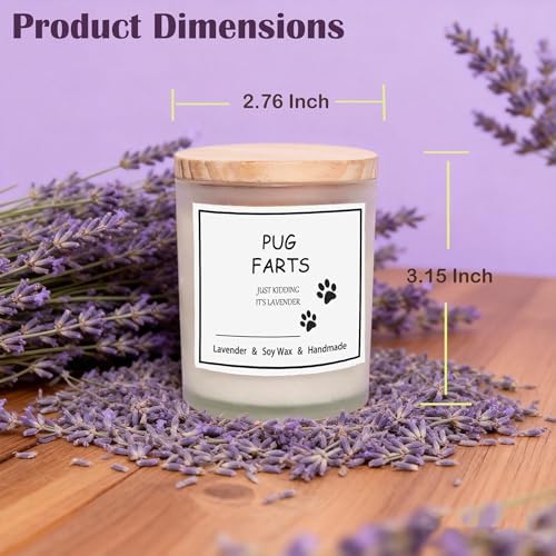 OSHINE Scented Candle: Pug Gifts for Dog Moms, Funny Candles for Women, Unique Gifts for Pug Lovers