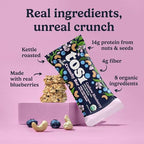 Tosi Meal Nut Bars, Cashew Blueberry, Healthy Snacks for Adults & Kids, Crunchy Plant Based Protein Bar (14G), Keto Snacks, Vegan, Gluten & Soy Free, Low Sugar, Omega 3s, 2.4oz, 12-Pack