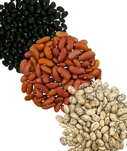 CLEAR CREEK Bean Pack: Black Beans, Pinto and Kidney Beans | 12 lbs (4 lbs each) | Washington State Farmed | Non-GMO | Kosher