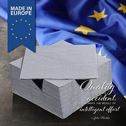 Granite Grey Beverage Napkins, 2-Ply Disposable Paper Napkins-Bar, Cocktail, Weddings, Birthday, EU Made, (300 Count)