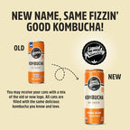 Liquid Remedy Kombucha Sugar Free Organic Drink, Low Calorie, Probiotic Like Tea for Gut Health - Orange Splash - 12 Fl Oz Can, 4-Pack