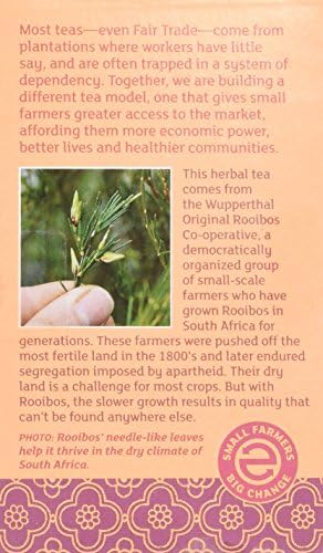 Equal Exchange Organic Vanilla Rooibos Tea, 20-Count