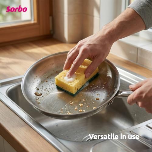 Sorbo Sponge Scourers