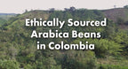 Café Grumpy Coffee - Colombia Whole Beans Arabica, 12oz Bag, Single Origin, Medium Roast, Drip, French Press, Pour Over, Cold Brew (Whole Beans)