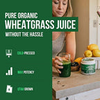 Organic Wheatgrass Juice Powder - Organic, Grown in Volcanic Soil of Utah - Raw BioActive Form, Cold-Pressed Then CO2 Dried, 20:1 Concentrate Juice Extract - Unflavored (5.3 oz – 60 Servings)