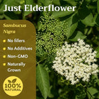 Dried Elderflower Tea - Natural Elder Flowers Herbs Loose Leaf - Wildcrafted Elder Flower Herb Cut & Sifted Bulk, 2 oz