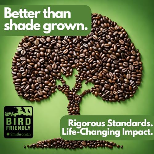 Tomorrow's Coffee Organic, Smithsonian Bird Friendly Certified, Fair Trade, Shade Grown Coffee, Dark French Roast with chocolate flavor | Sustains Amazon Rainforest, Compostable Bag, Eco-Friendly Packaging (1 lb., whole bean)