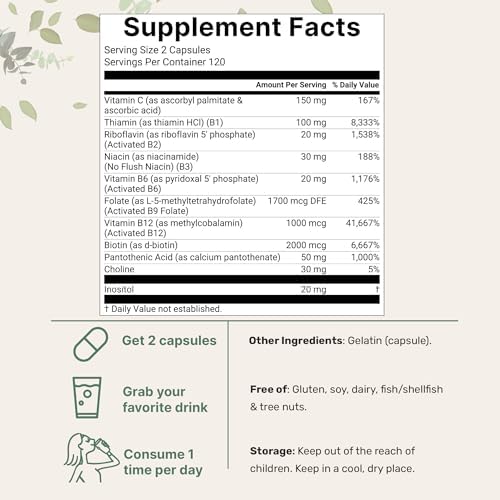 Micro Ingredients 2 Pack Pure Methylated B Complex, 480 Capsules | 11-in-1 Formula with B12, Thiamin, Folate, Inositol, Choline, & Vitamin C | Filler Free | Non-GMO