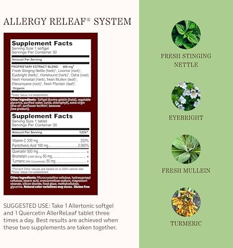 Herbs Etc. Allergy ReLeaf System - Natural Allergy Support for Overall Seasonal Comfort - Non-Drowsy Formula - Fresh Mullein & Organic Eyebright - 30 Count (30 Servings)