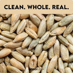 Organic Rye Berries 5 lbs - Non-GMO, Kosher, Raw Whole Grain, Bulk Seeds - Product of USA