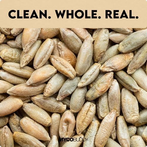 Organic Rye Berries 5 lbs - Non-GMO, Kosher, Raw Whole Grain, Bulk Seeds - Product of USA