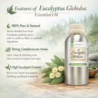 GreenHealth - Eucalyptus Globulus Essential Oil – 16 fl oz (473 ml) Aluminum Bottle w/Plug Cap – 100% Pure, Uncut, Undiluted